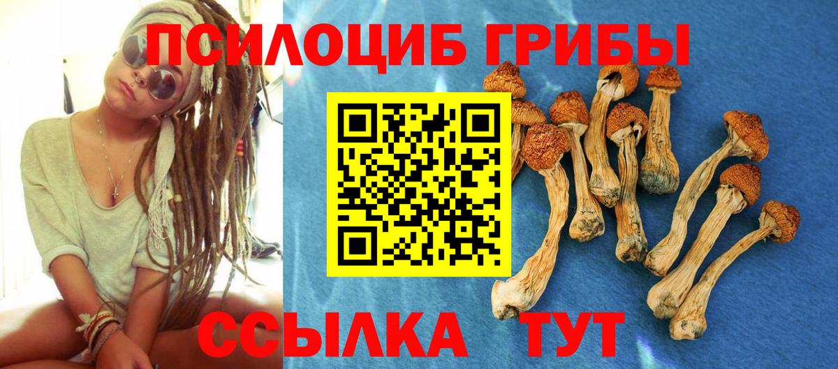 Галлюциногенные грибы мицелий Астрахань
