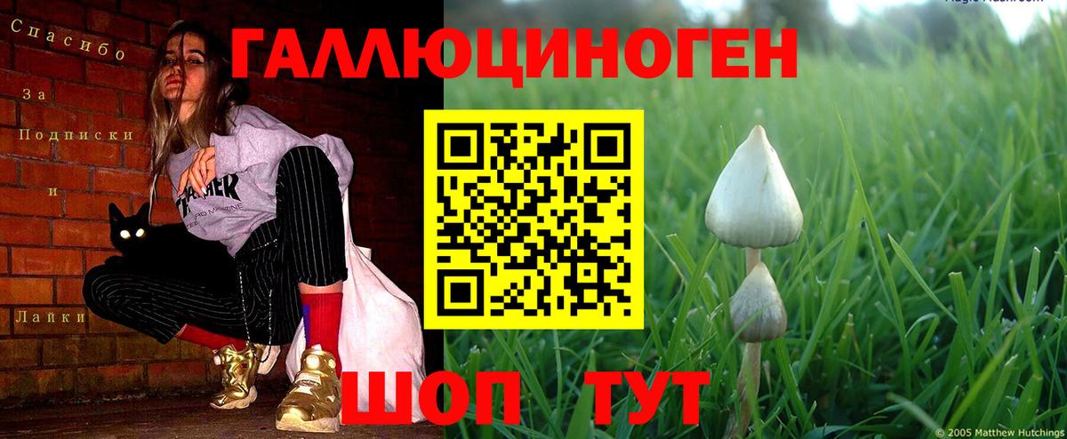 Астрахань  Псилоцибиновые грибы мухоморы  Вход с VPN 